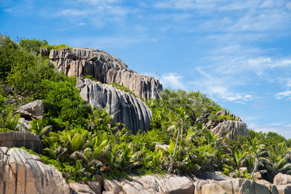 Taşlar bitki örtüsü Seyşeller ada manzara doğa Stok fotoğraf © dolgachov