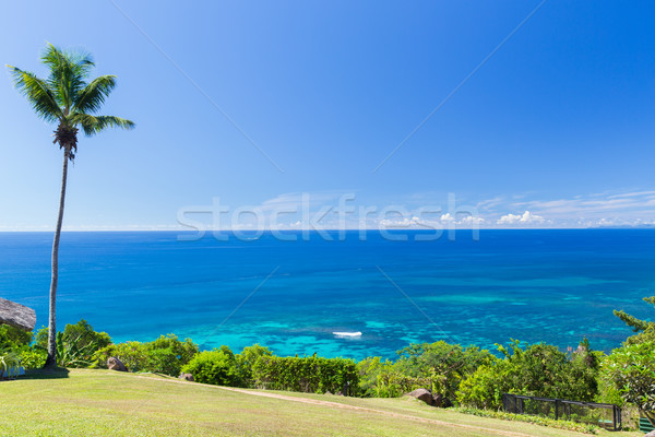 view to indian ocean from island with palm tree Stock photo © dolgachov