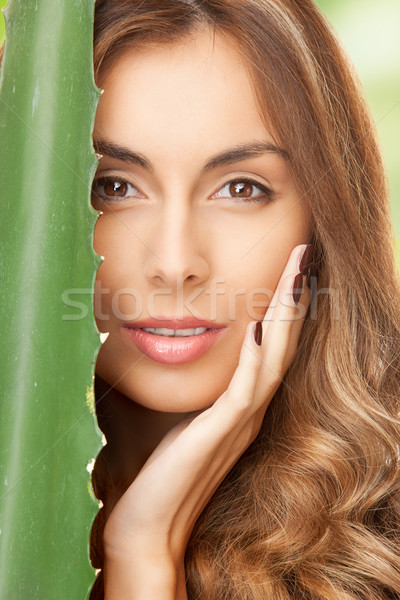 Stockfoto: Vrouw · aloë · foto · gezicht · gezondheid · groene