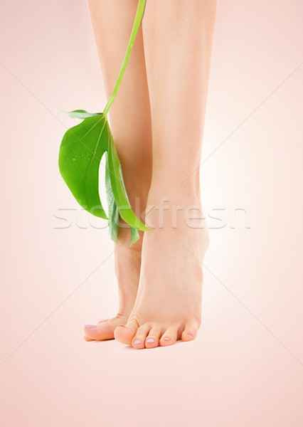 female legs with green leaf Stock photo © dolgachov