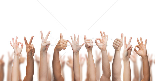 Emberi kezek mutat remek ok béke Stock fotó © dolgachov