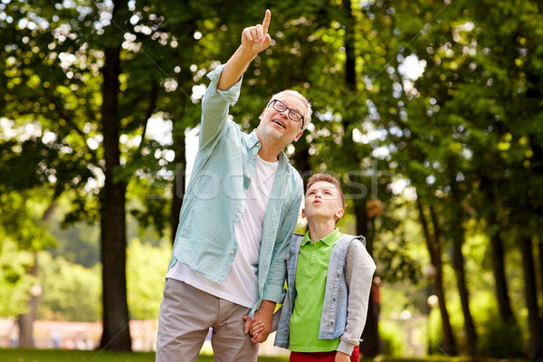 Foto d'archivio: Nonno · ragazzo · punta · up · estate · parco