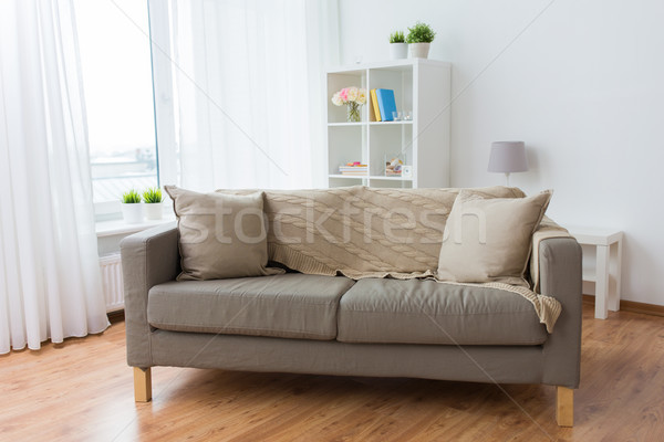Sofá almofadas confortável casa sala de estar conforto Foto stock © dolgachov