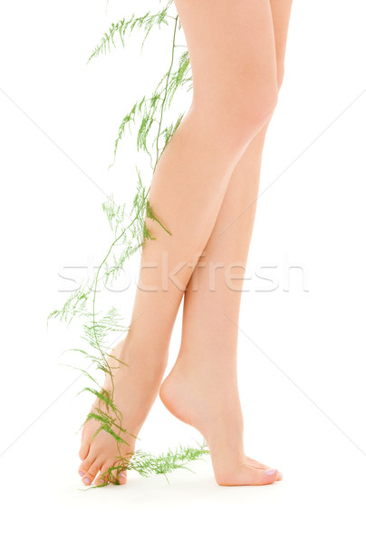 female legs with green plant Stock photo © dolgachov