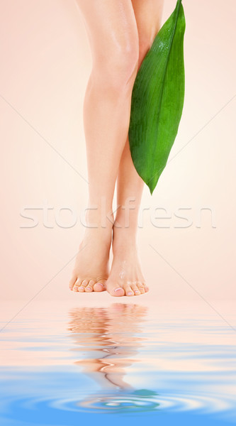 female legs with green leaf Stock photo © dolgachov