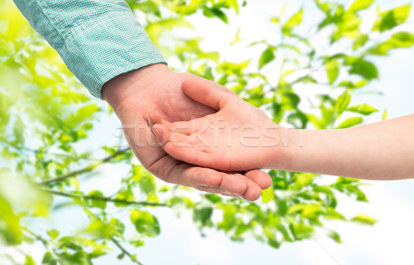 Tată copil țin de mâini frunze verzi familie copilarie Imagine de stoc © dolgachov