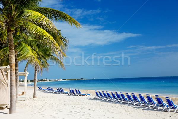 tropical resort Stock photo © dolgachov