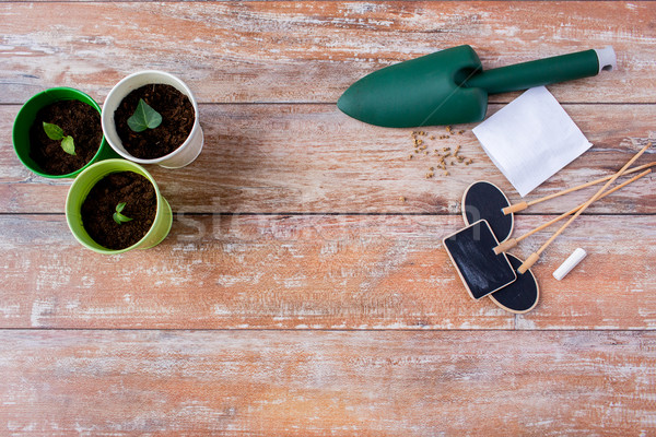 close up of seedlings, trowel and nameplates Stock photo © dolgachov