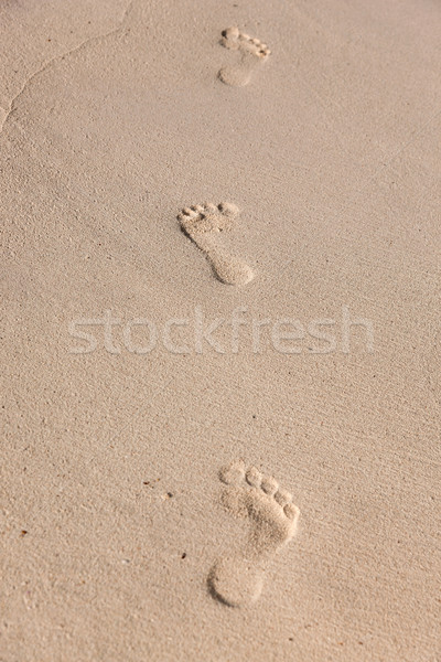 footprints on sand Stock photo © dolgachov