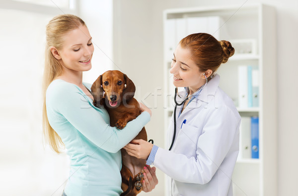 Stok fotoğraf: Mutlu · kadın · köpek · doktor · veteriner · klinik