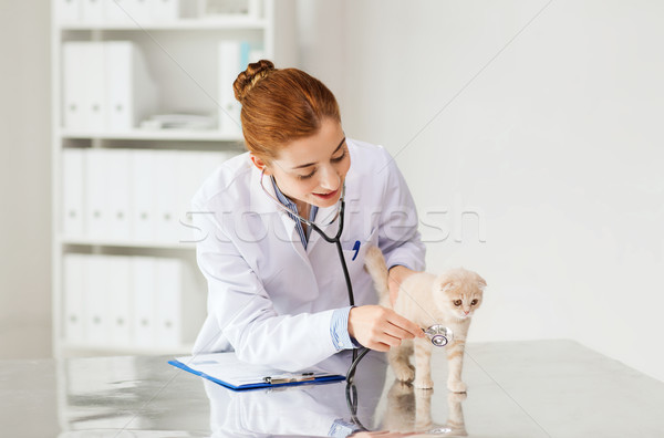 Fericit medicul veterinar pisoi clinică medicină Imagine de stoc © dolgachov