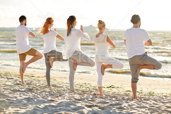 Grupy ludzi jogi drzewo stanowią plaży Zdjęcia stock © dolgachov