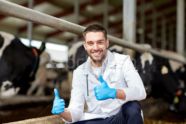 veterinarian and cows in cowshed on dairy farm Stock photo © dolgachov