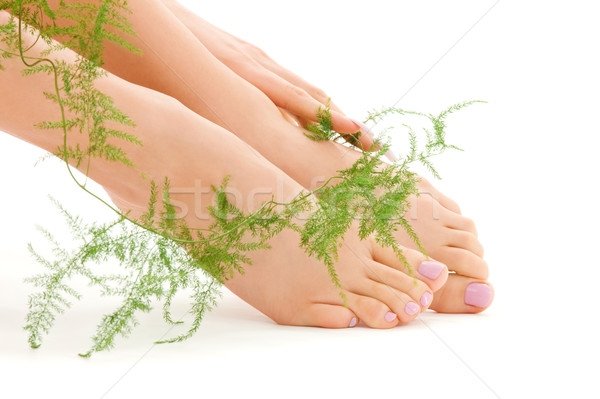 female feet with green plant Stock photo © dolgachov