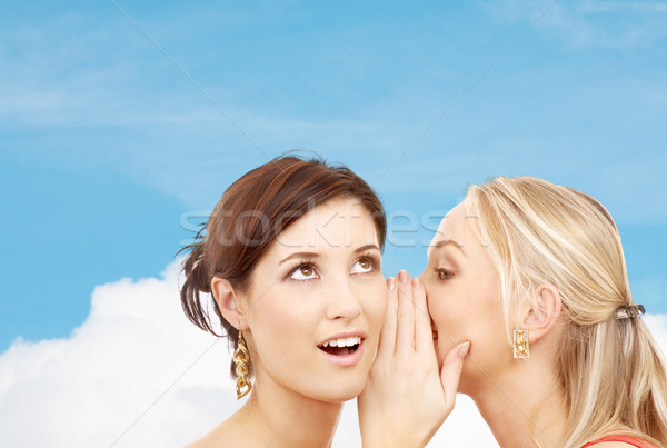 Deux souriant femmes chuchotement potins amitié Photo stock © dolgachov