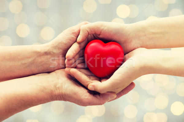 Kıdemli genç kadın eller kırmızı kalp Stok fotoğraf © dolgachov