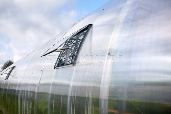 Gewächshaus öffnen Fenster Gartenarbeit Landwirtschaft Natur Stock foto © dolgachov