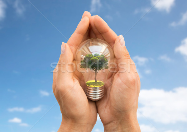 Stock photo: hands holding light bulb with tree inside over sky