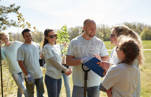 group of volunteers with tree seedlings in park Stock photo © dolgachov