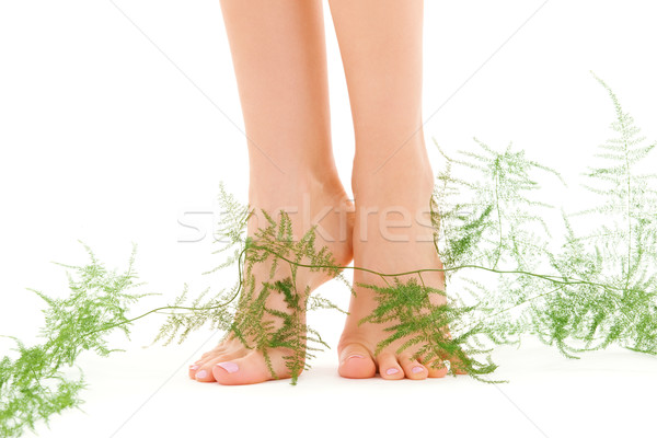 female legs with green plant Stock photo © dolgachov