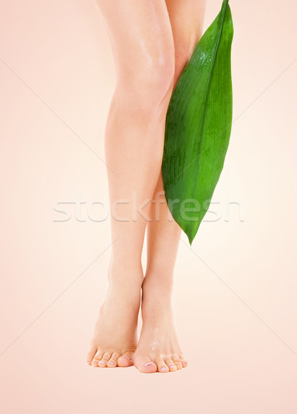 female legs with green leaf Stock photo © dolgachov