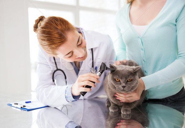 happy woman with cat and doctor at vet clinic Stock photo © dolgachov