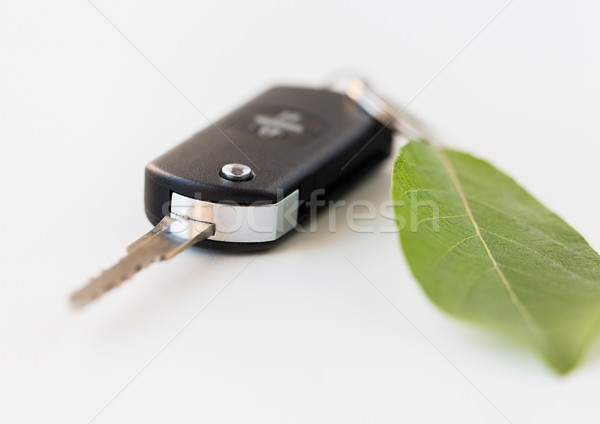 Autoschlüssel green leaf Erhaltung Umwelt Transport Stock foto © dolgachov