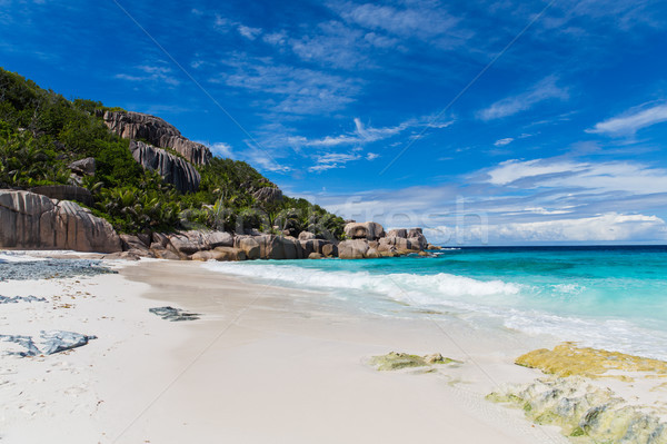 island beach in indian ocean on seychelles Stock photo © dolgachov