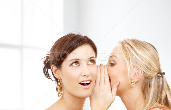 Kettő mosolyog nők suttog pletyka barátság Stock fotó © dolgachov