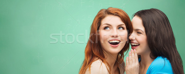 Boldog diák lányok suttog titok pletyka Stock fotó © dolgachov