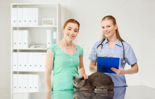 Foto stock: Feliz · mujer · gato · médico · veterinario · clínica