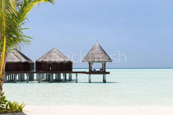 Bungaló tenger víz egzotikus üdülőhely tengerpart Stock fotó © dolgachov