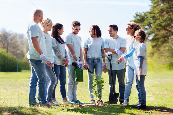 group of volunteers planting tree in park Stock photo © dolgachov