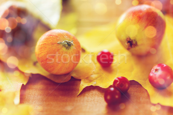 close up of autumn leaves, fruits and berries Stock photo © dolgachov