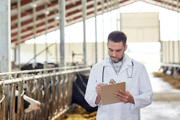 veterinarian with cows in cowshed on dairy farm Stock photo © dolgachov