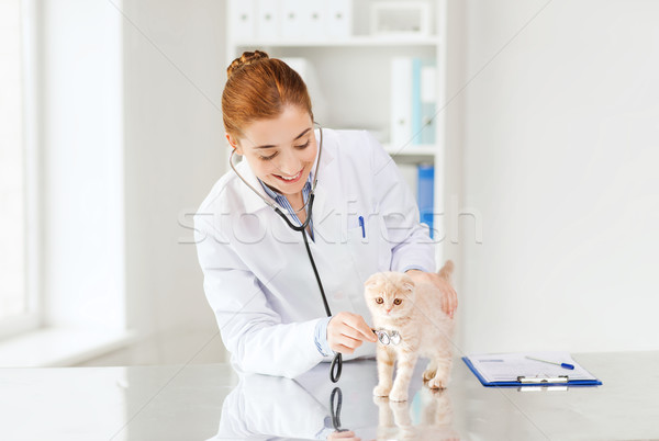 happy veterinarian with kitten at vet clinic Stock photo © dolgachov
