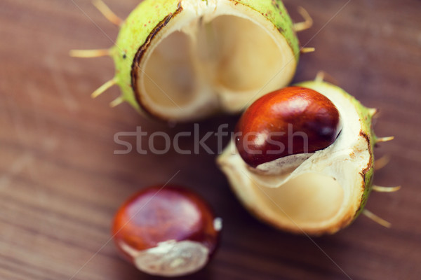 Stock foto: Fuchs · Holztisch · Natur · Jahreszeit · Herbst