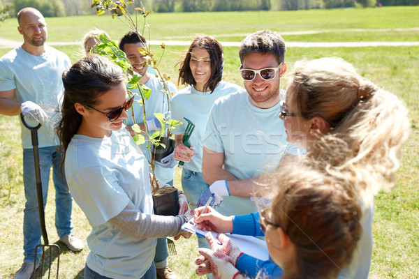 Grupy wolontariusze drzewo sadzonki parku wolontariat Zdjęcia stock © dolgachov