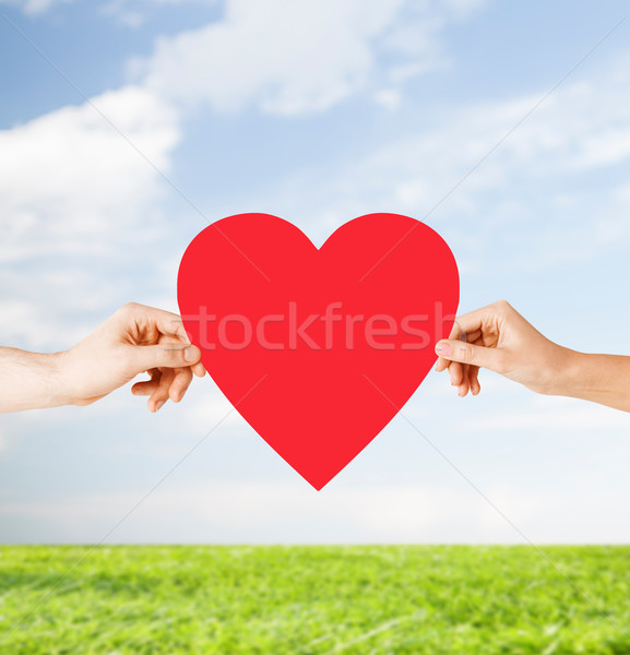 couple hands holding red heart Stock photo © dolgachov