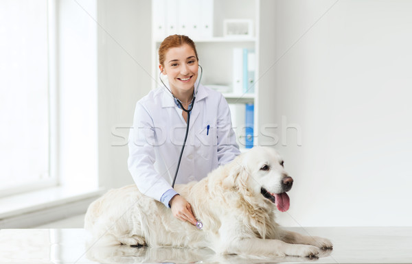 Stock foto: Glücklich · Frau · Hund · Arzt · Tierarzt · Klinik