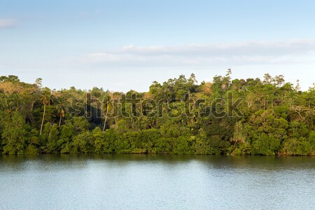 Vista lago río tierra colinas Sri Lanka Foto stock © dolgachov