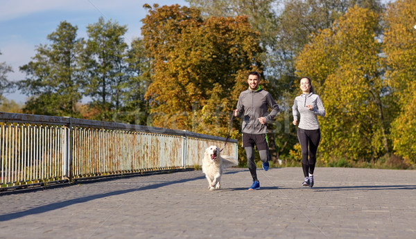 Stockfoto: Gelukkig · paar · hond · lopen · buitenshuis · fitness