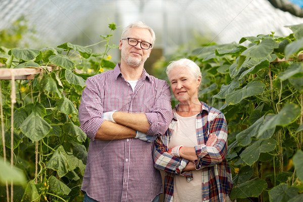 Glücklich Bauernhof Gewächshaus Landwirtschaft Gartenarbeit Stock foto © dolgachov