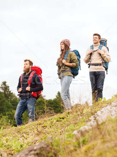 Gruppe lächelnd Freunde Wandern Abenteuer Reise Stock foto © dolgachov