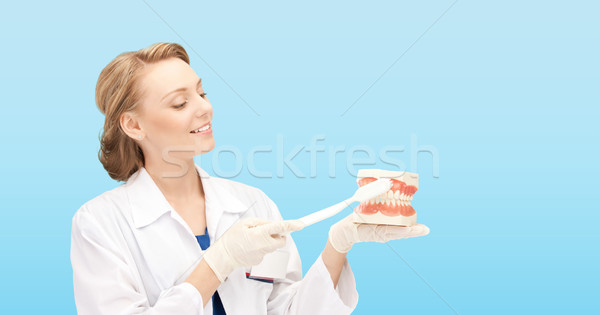 smiling female doctor with toothbrush and jaws Stock photo © dolgachov
