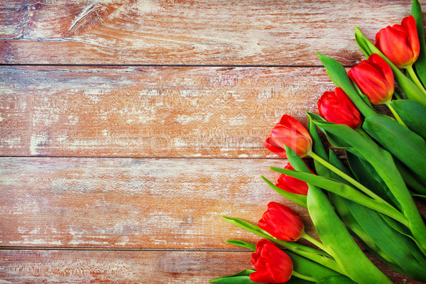 Foto stock: Vermelho · tulipas · jardinagem · flores