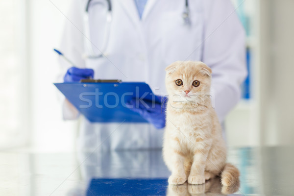 close up of vet with clipboard and cat at clinic Stock photo © dolgachov