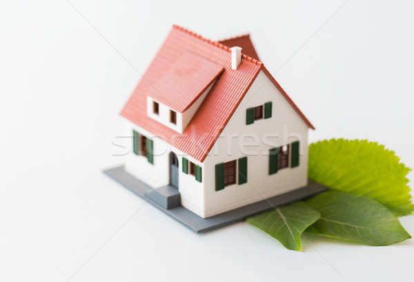 close up of house model and green leaves Stock photo © dolgachov
