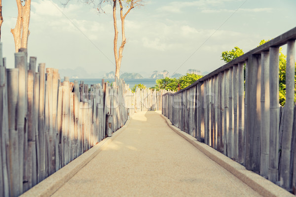 road with fence at seaside Stock photo © dolgachov