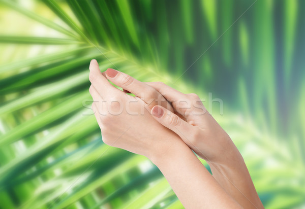 female soft skin hands Stock photo © dolgachov